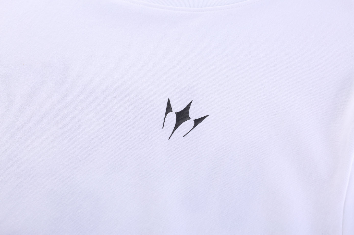 WOTD Ultimate Oversized Fit T-Shirt White(First Collection)